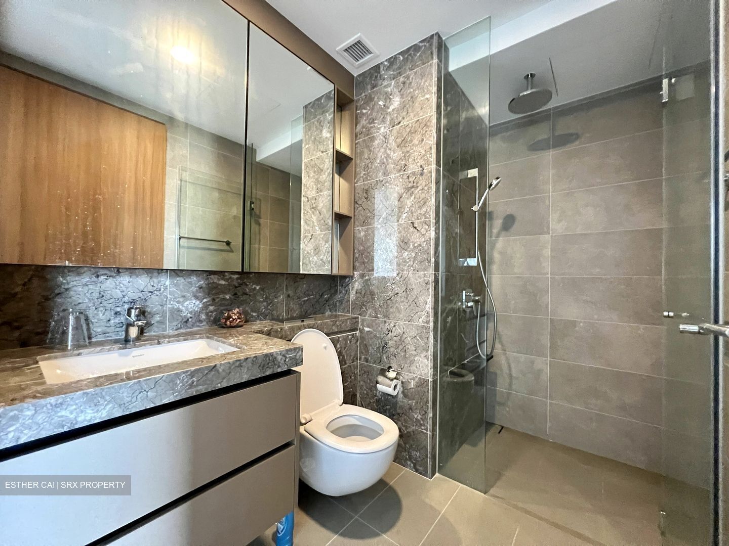 Stirling Residences (D3), Apartment #364749841